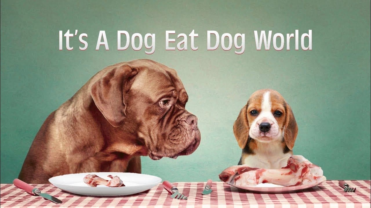 Two dogs at a dinner table — a playful take on private equity competition